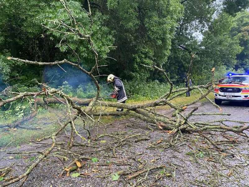 Негода на Вінниччині повалила дерева
