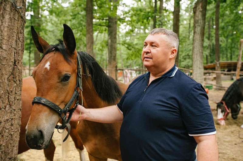Для коней, які вижили після бомбардувань рашистів, будують новий дім