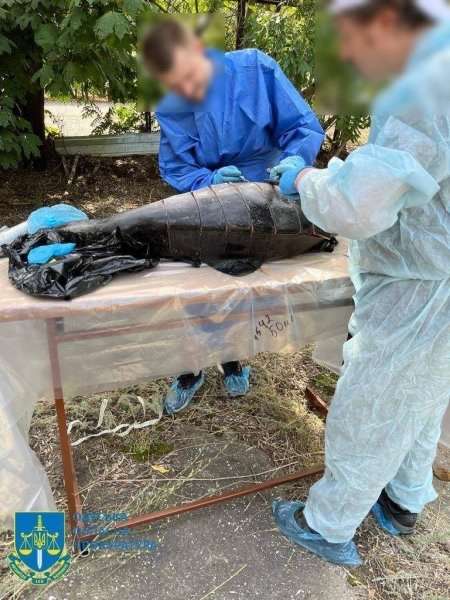 Рашисти воюють навіть з дельфінами