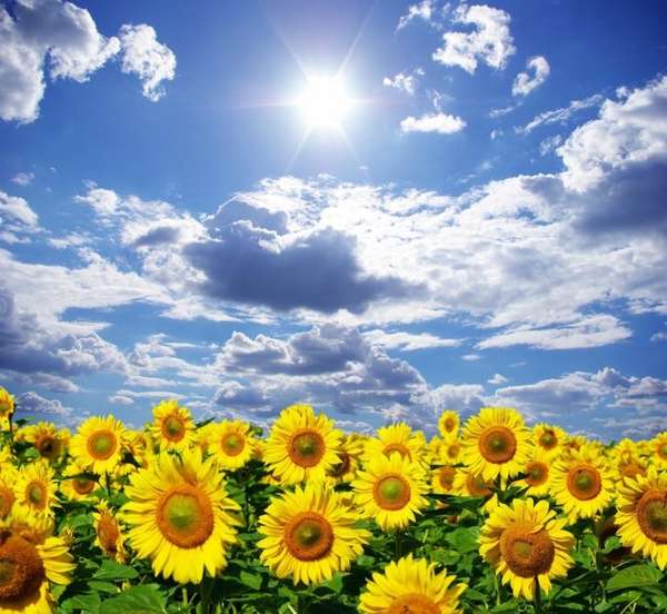 Вже 40 журналістів, наших колег вбила рф