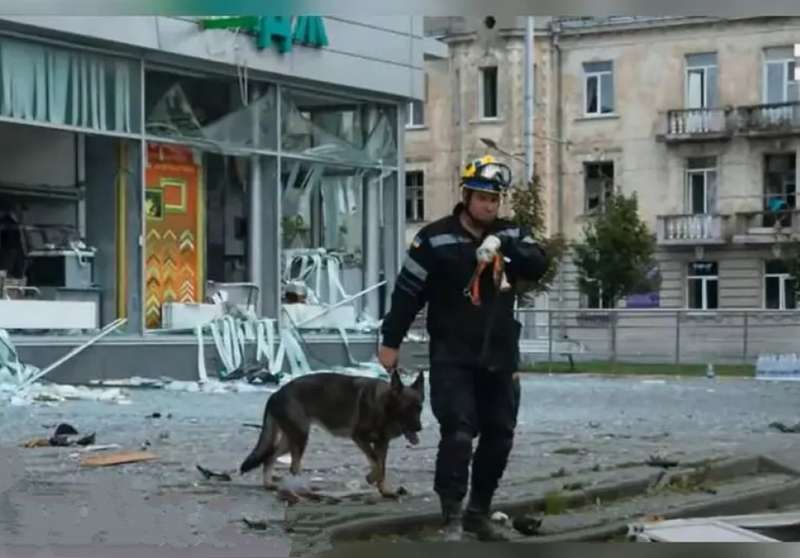 Вівчарка Фріда шукала тіла під завалами “Ювілейного” та Будинку офіцерів