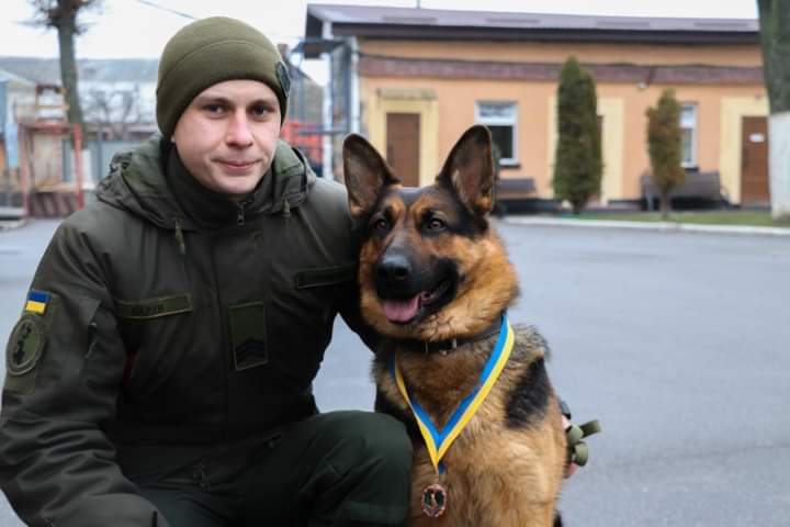 У Вінниці службового собаку Берту нагородили медаллю «За віддану службу»