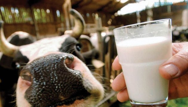 Сьогодні всім потрібно пити молоко. І не можна ображати тварин