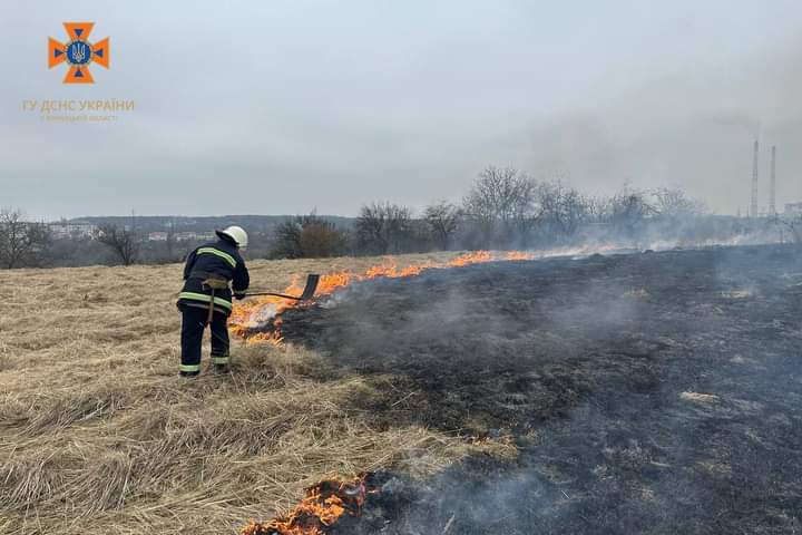 Пожежу на 2 гектарах загасили рятувальники Вінниччини