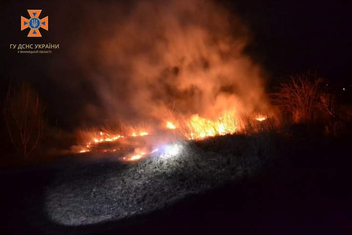 Вогонь знищив 7 гектарів поля