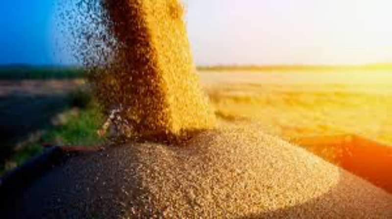 Україна й Польща досягли порозуміння щодо транзиту зерна