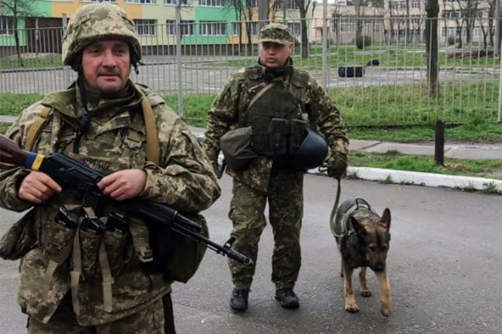 Службові собаки бригади “Червона калина” шукають ворожу зброю та вибухівки на Київщині