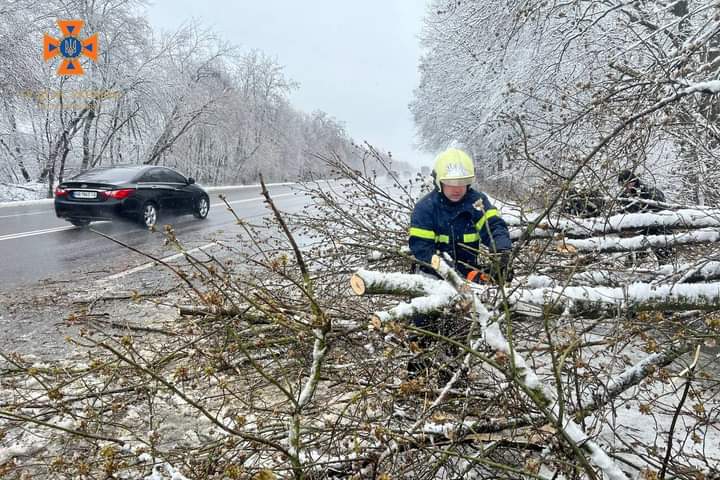 Негода на Вінниччині: повалені дерева на дорогах та обірвані лінії електропередач