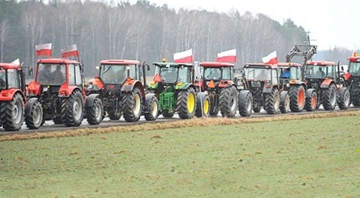 Польський уряд вирішив заборонити імпорт зерна та іншої сільськогосподарської продукції з України