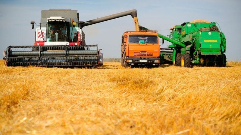 До 5 червня заборонено імпорт з України сільгосппродукції в п’ять країн ЄС