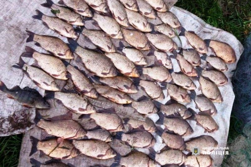 На Вінниччині під час нересту у браконьєрів вилучили майже тонну риби