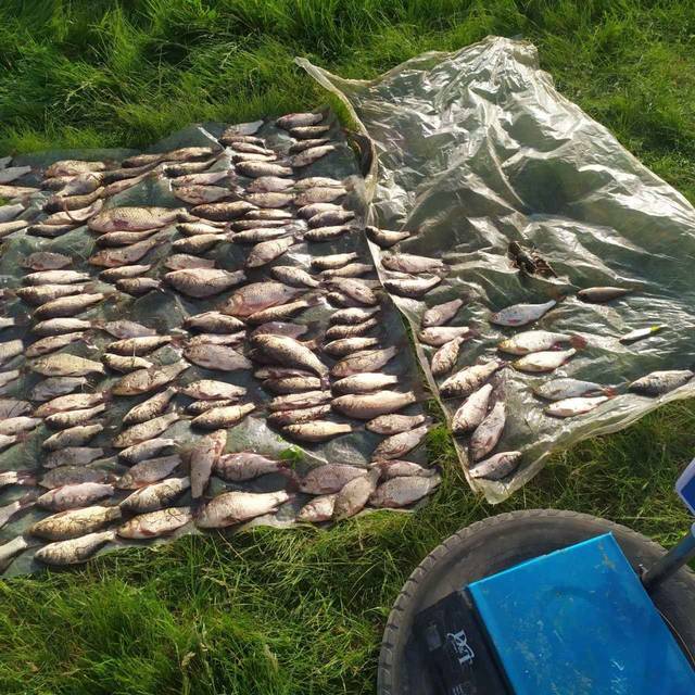 Сезон розпочався штрафом: на Вінниччині браконьєр піймав риби на 670 000 грн