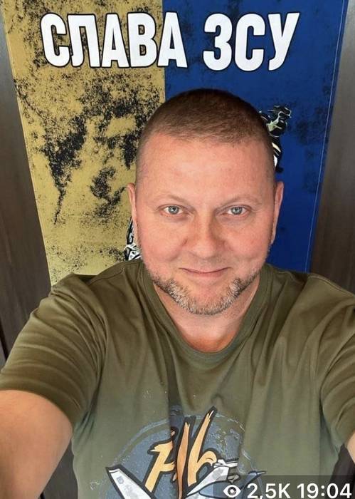 Валерій Залужний на робочому місці — головнокомандувач ЗСУ зробив селфі
