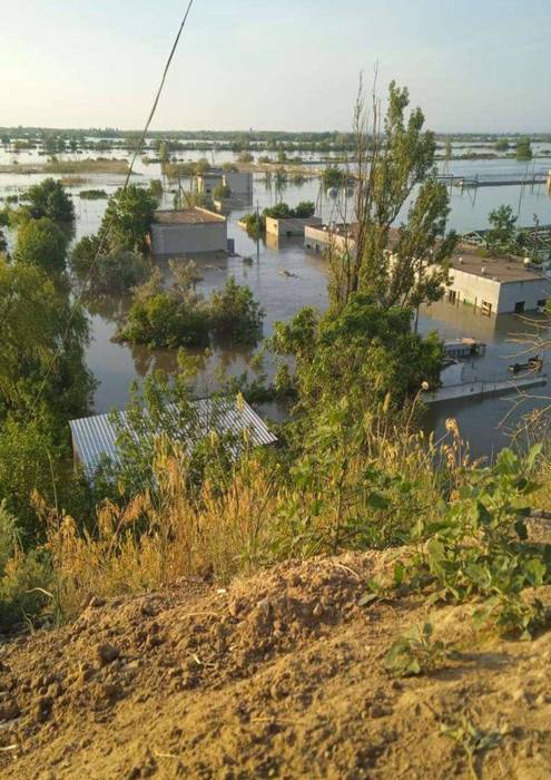 Затоплено єдиний в Україні державний осетровий завод