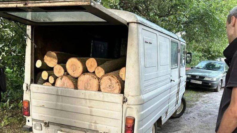 Хлопці гинуть, щоб лісники й далі крали ліс? Таких запитань до влади сотні