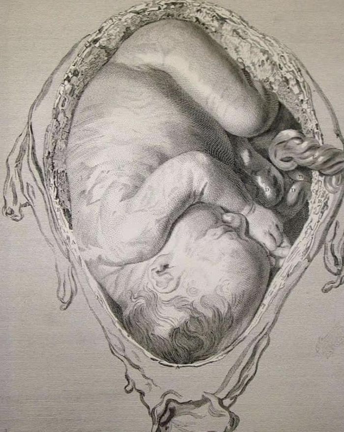 Коли мати вагітна, клітини з тіла дитини потрапляють в її кров, а потім повертаються в тіло дитини