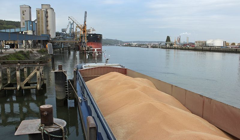 6 мільйонів тонн українського зерна викрали окупанти минулого року