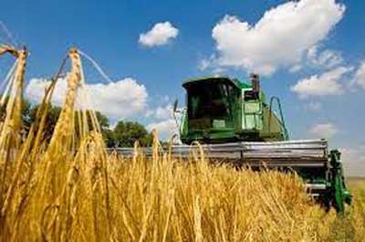 На Вінниччині зібрали перший мільйон тонн зерна