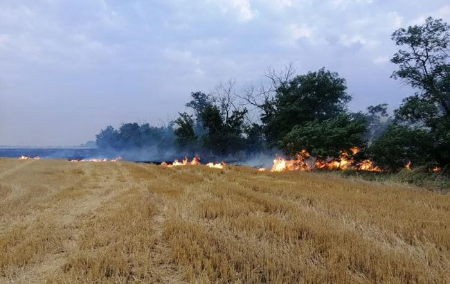 За підпали штрафуватимуть: скільки доведеться заплатити