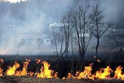 65 пожеж сталося за минулий тиждень на Вінниччині