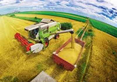 На Вінниччині зібрали 2,4 млн тонн зерна: урожайність перевищила минулорічну