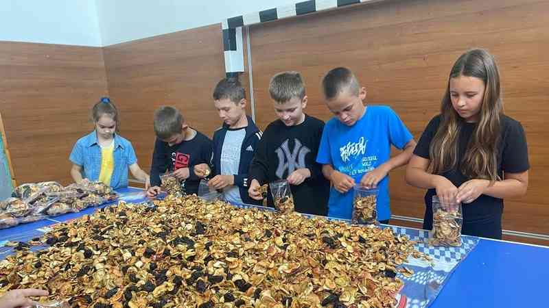 Трав’яні чаї для українських захисників пакують вінницькі школярі