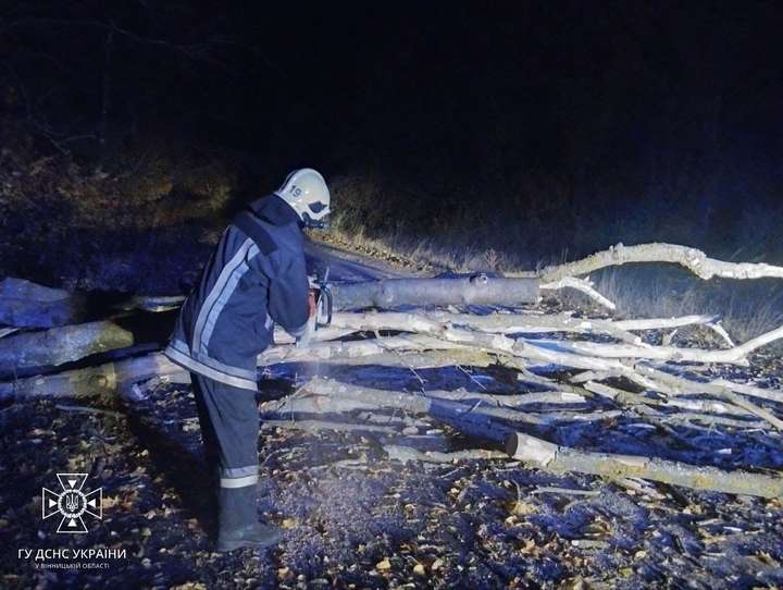 На Вінниччині штормовий вітер повалив дерева на дороги та автомобілі