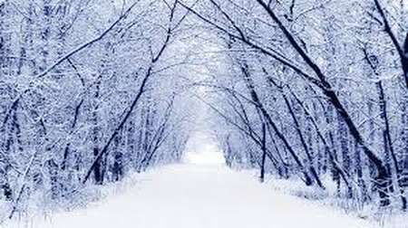 В Україні очікується аномальна зима