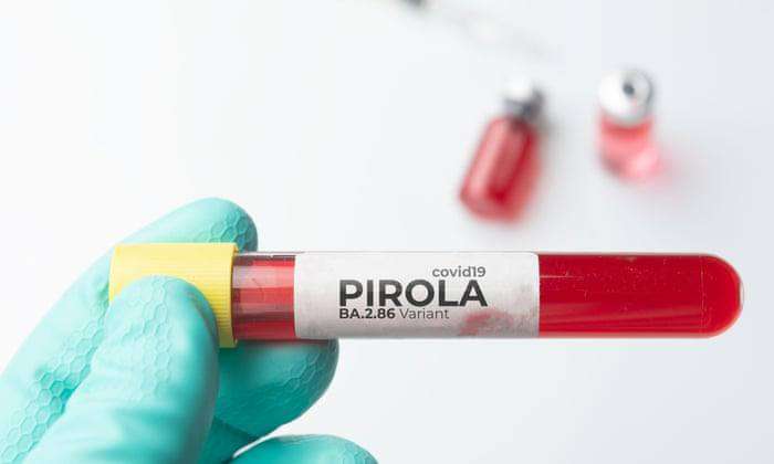 Перший випадок ураження штамом коронавірусу «Пірола» підтверджено