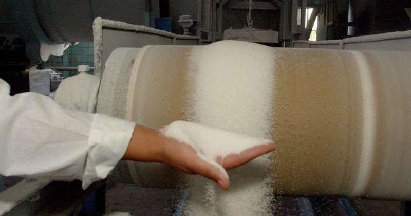 Майже 300 тисяч тонн цукру виробили на Вінниччині