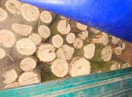 Вкрадену деревину виявили у Ямполі