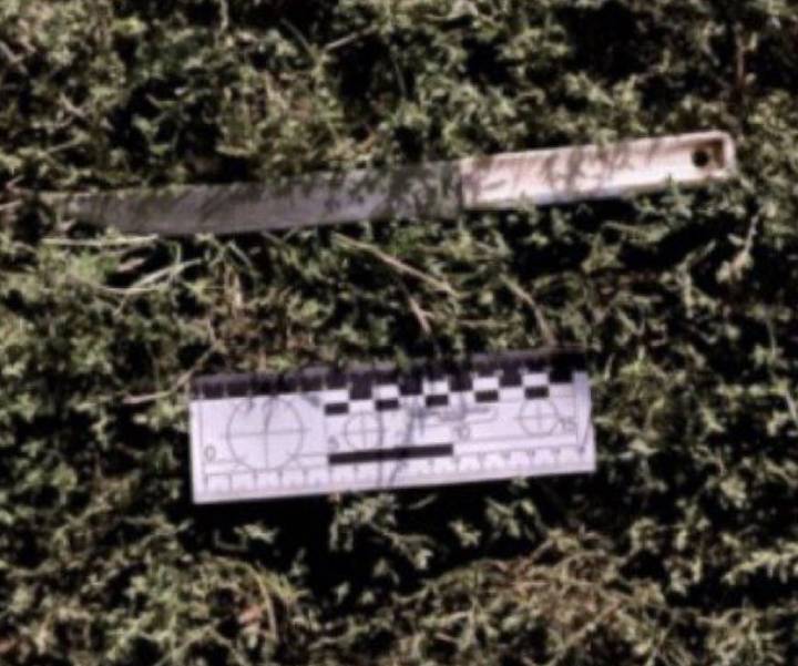 Молдованина, який вчинив різанину у Тростянці, засудили на 5 років