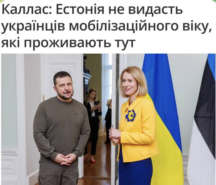 Естонія не видаватиме Україні військовозобов’язаних чоловіків