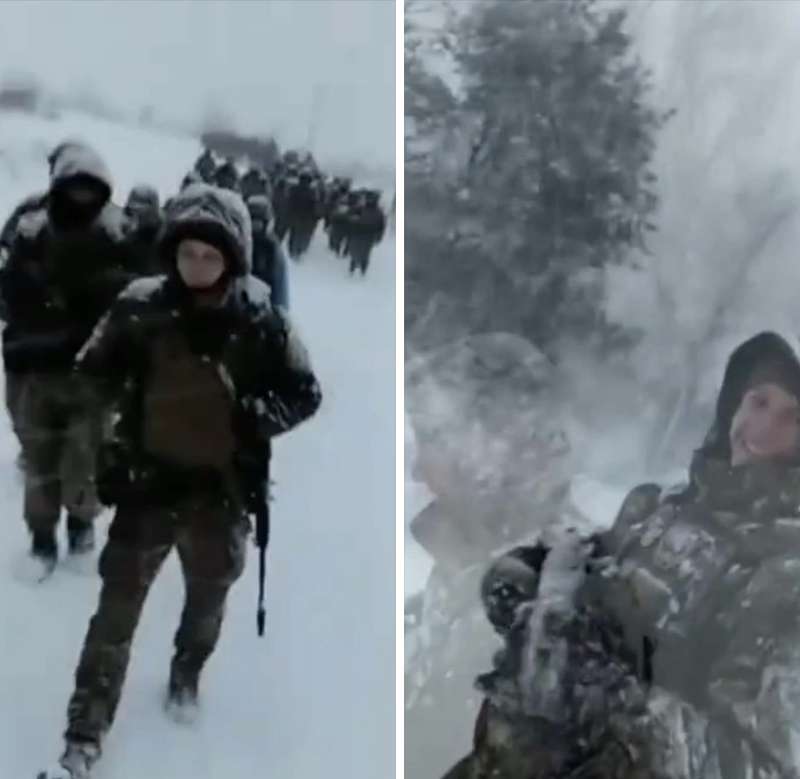 – Мамо, досить вже, ми – не зайчики!