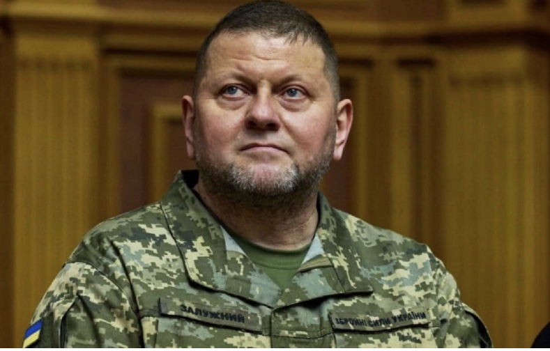 Відставка Залужного