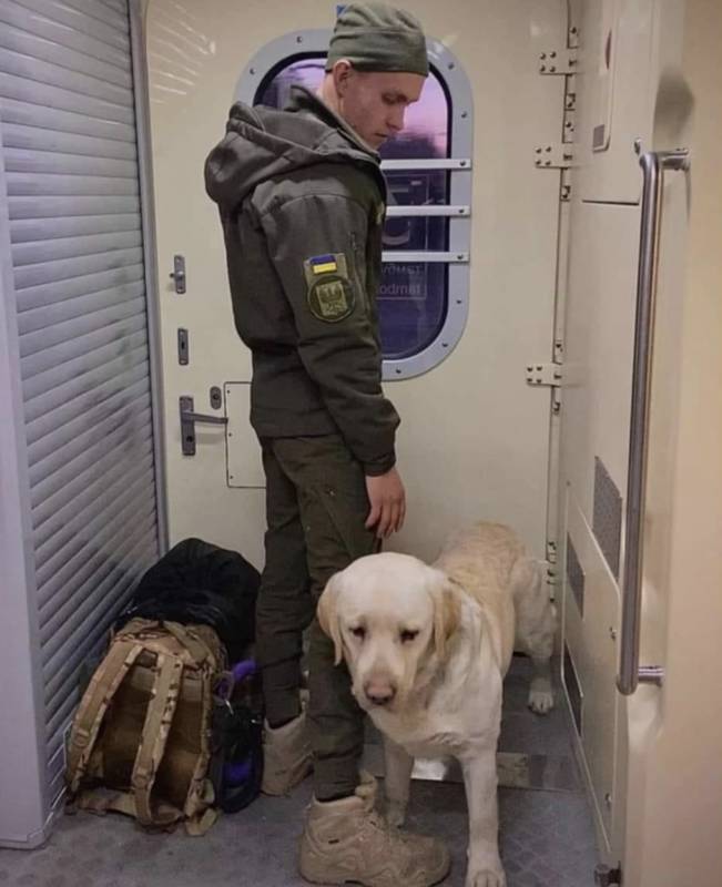 Воїна не пустили у вагон із службовим собакою