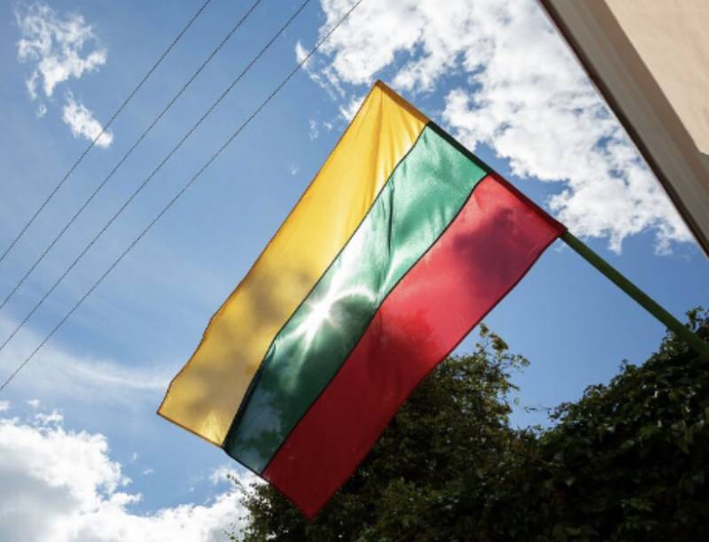 Президент Литви відреагував на масові інциденти з паплюженням національних прапорів