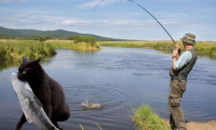 З 1 квітня заборонено вилов риби на Вінниччині, — рибнагляд.