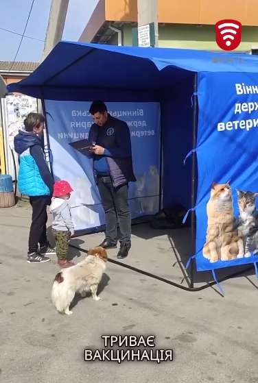 Вчора у Вінниці провели вакцинацію тварин від сказу