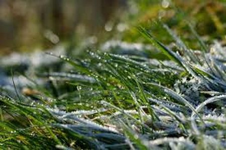 Заморозки на поверхні ґрунту прогнозують на Вінниччині.  Похолодання вдарить вночі