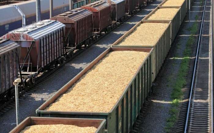 Українська широка колія до Гданська та Клайпеди допоможе вирішити проблему транзиту зерна залізницею