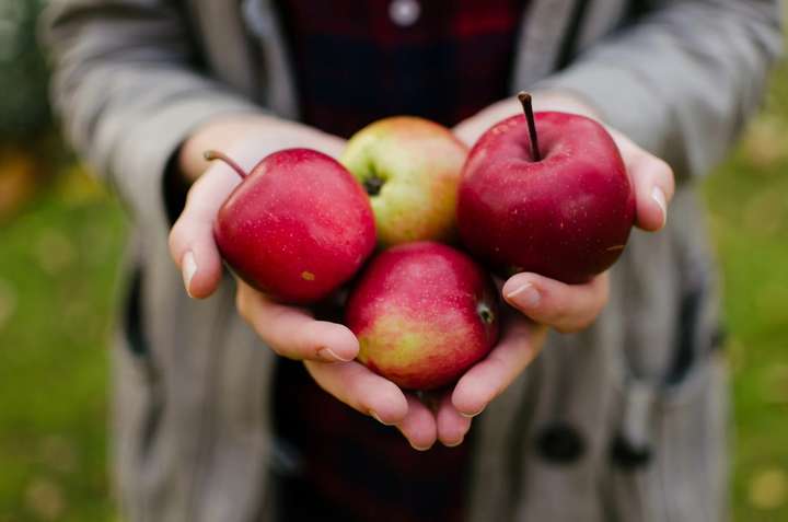 Чому корисно їсти яблука щодня