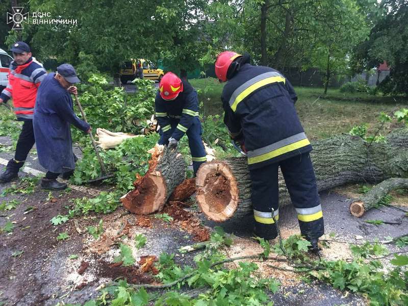 Негода повалила дерева на дорогах Вінниччини: надзвичайники розчистили завали в Тульчинському, Гайсинському та Вінницькому районах, — ДСНС