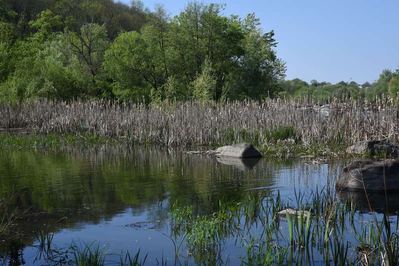 У воді на скиді в Південний Буг азоту в 7,5 разів більше норми