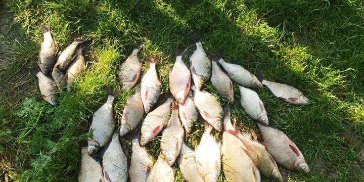 Вінницькі браконьєри наловили риби на 70000 грн