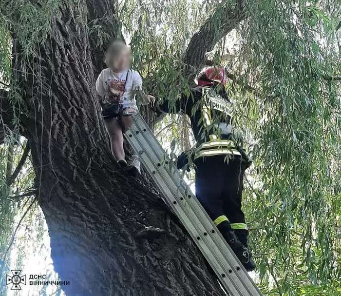 Рятувальники у Вінниці зняли з дерева перелякану дитину