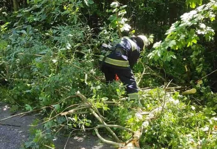 Негода завдала збитків на Вінниччині