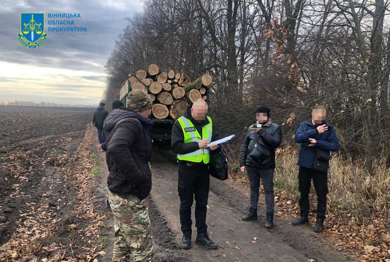 На Вінниччині “чорні лісоруби” знищували цілі лісосмуги