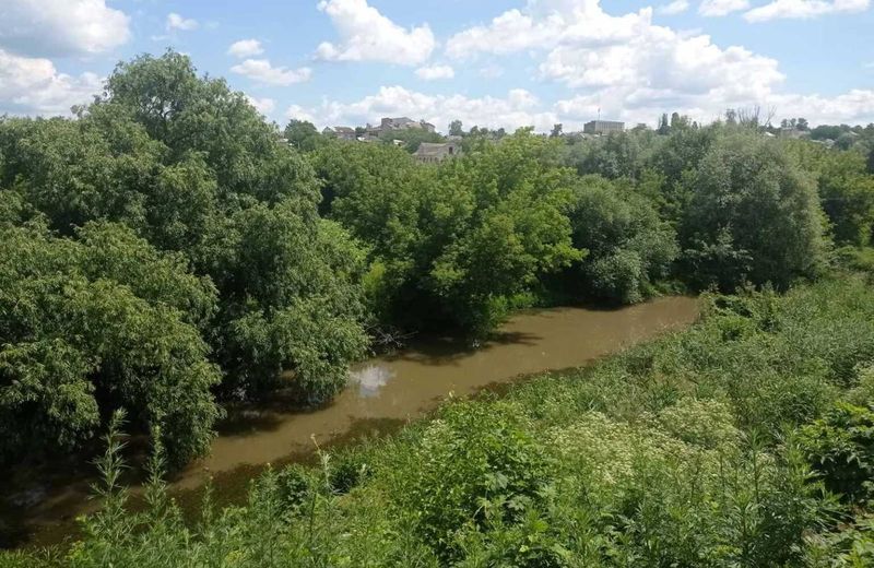 Підприємство на Вінниччині забруднювало річку Мурафа