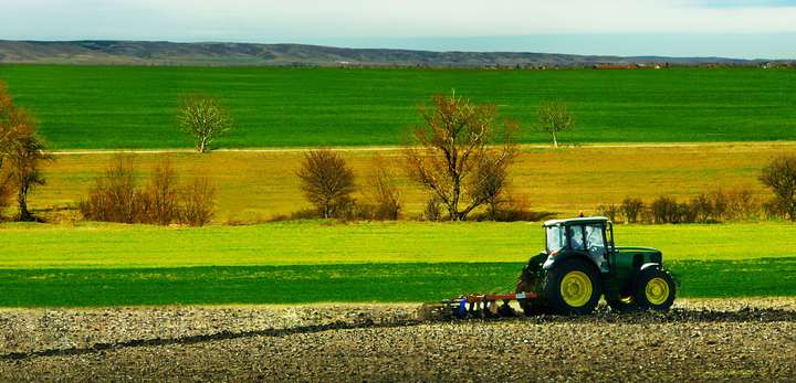 Землі с/г призначення в Україні подорожчали  на 10-15%